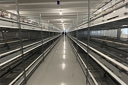 Velký Dvůr, AG Maiwald - úpravy haly